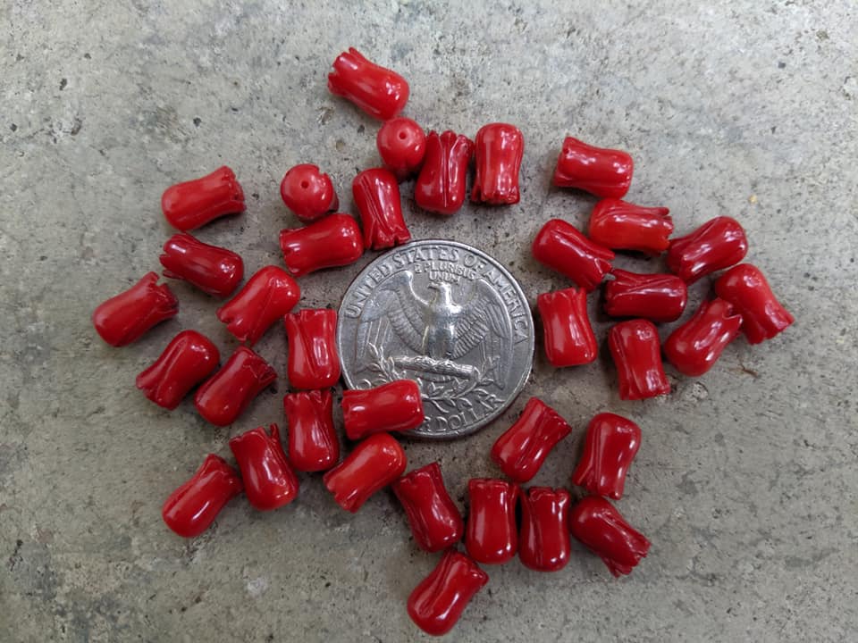 Bamboo Coral Tulip Beads - Red