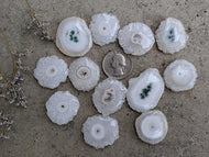 Solar Quartz Cabochons