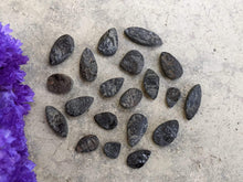 Load image into Gallery viewer, Raw Shungite Cabochons
