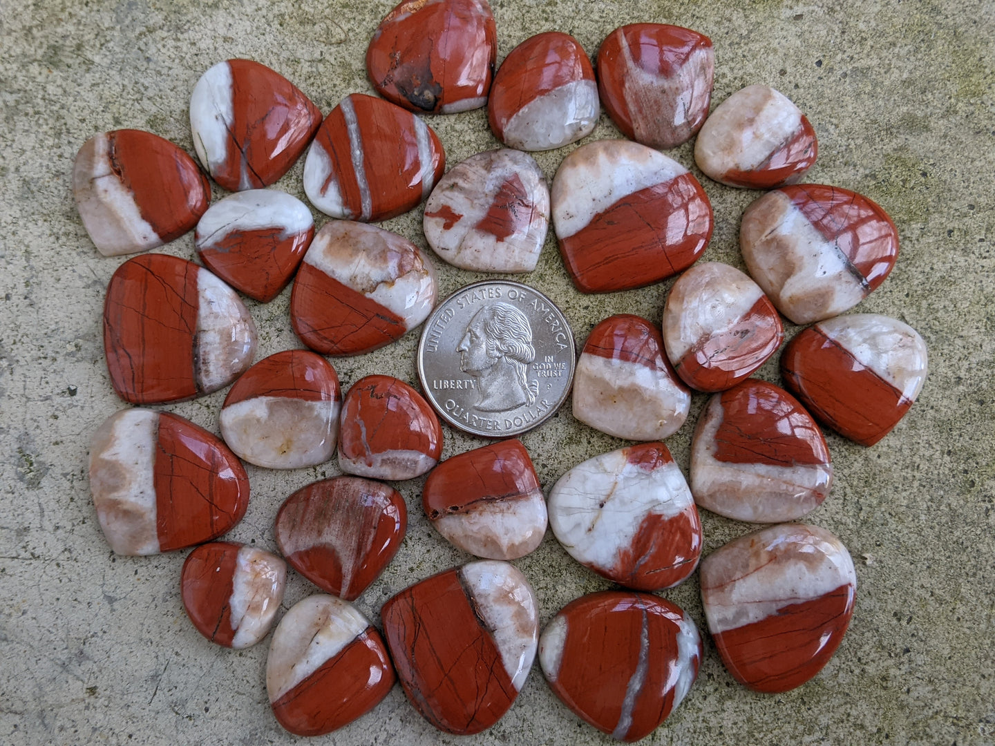 Clearance Red River Jasper Cabochons