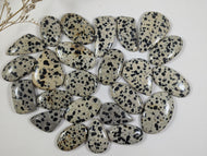 Dalmatian Jasper Large Cabochons