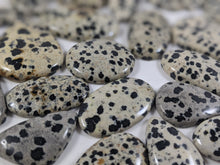 Load image into Gallery viewer, Dalmatian Jasper Large Cabochons
