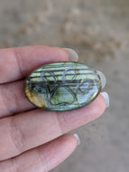 Labradorite Large Pawprint Cabochon 05