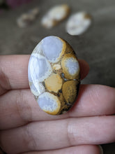 Load image into Gallery viewer, Orbicular Agate Cabochons
