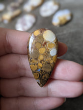 Load image into Gallery viewer, Orbicular Agate Cabochons
