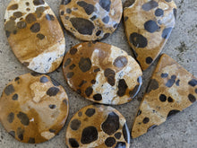 Load image into Gallery viewer, Astroid Jasper Cabochons
