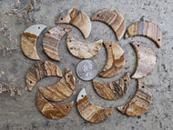 Picture Jasper Moons