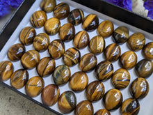 Load image into Gallery viewer, Tigers Eye Oval Cabochons - 9x11mm
