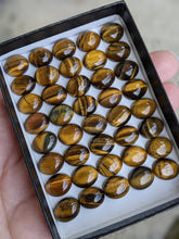 Load image into Gallery viewer, Tigers Eye Oval Cabochons - 9x11mm
