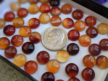Load image into Gallery viewer, Carnelian Cabochons - 8mm Round
