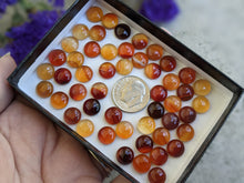 Load image into Gallery viewer, Carnelian Cabochons - 8mm Round
