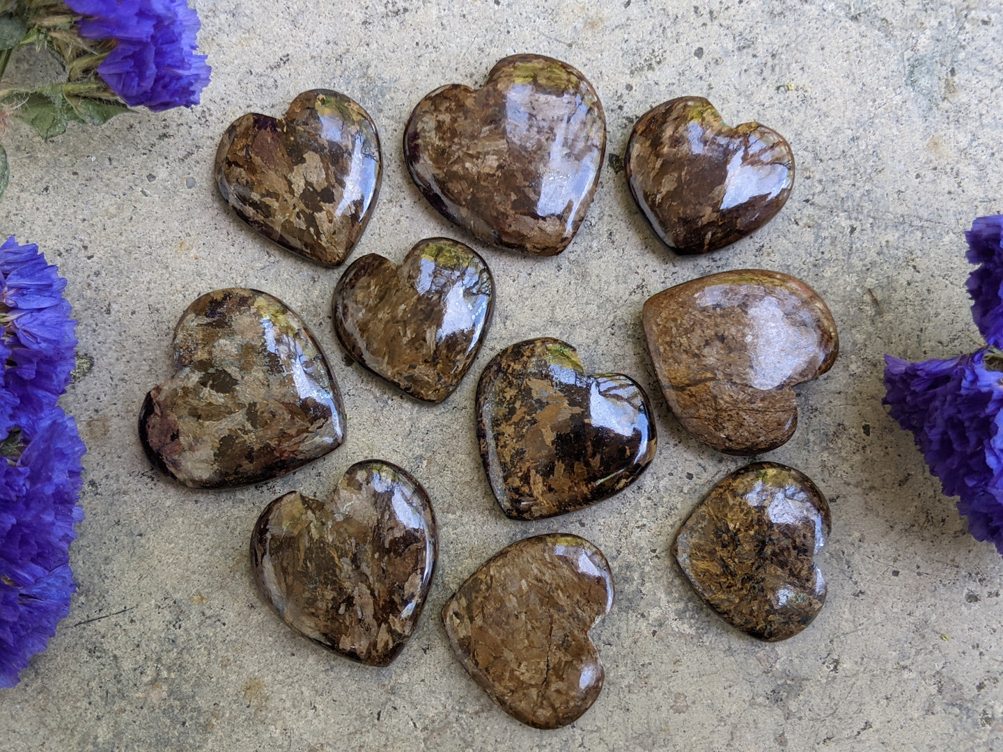 Bronzite Heart Cabochons