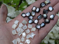 Mother of Pearl Kitties