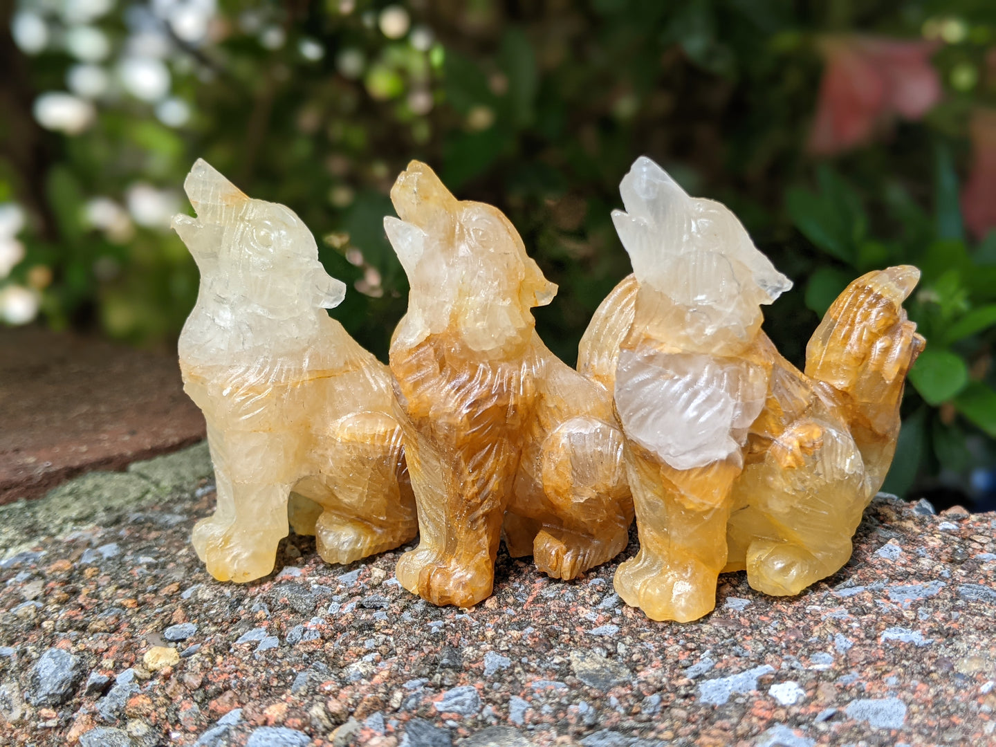Agate Wolf Carvings