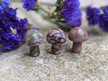Load image into Gallery viewer, Rhodonite Mini Mushrooms
