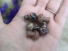 Load image into Gallery viewer, Rhodonite Mini Mushrooms
