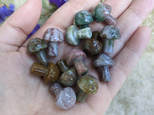 Load image into Gallery viewer, Fancy Jasper Mini Mushrooms
