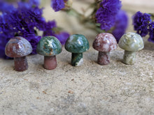 Load image into Gallery viewer, Fancy Jasper Mini Mushrooms
