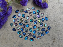 Load image into Gallery viewer, Abalone Teardrop Cabochons - 8x6mm
