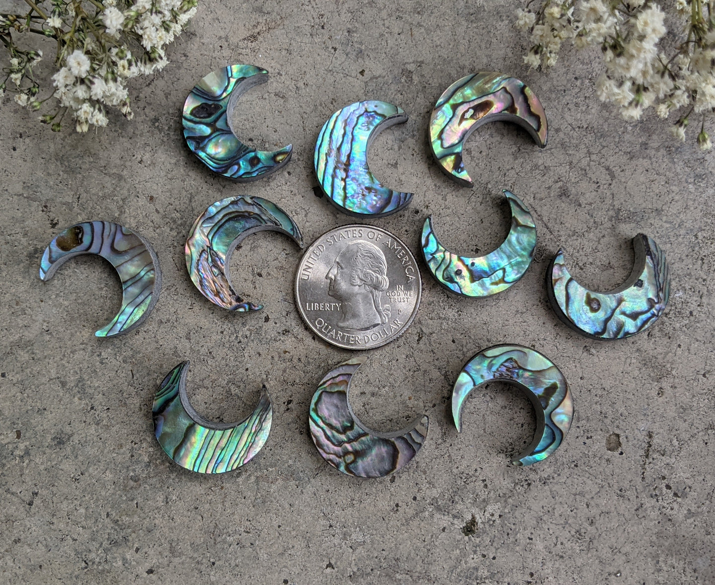 Abalone Crescent Moon Cabochons