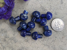 Load image into Gallery viewer, Lapis Lazuli Mini Mushrooms
