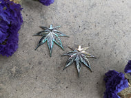 Black Lip Mother of Pearl Leaves