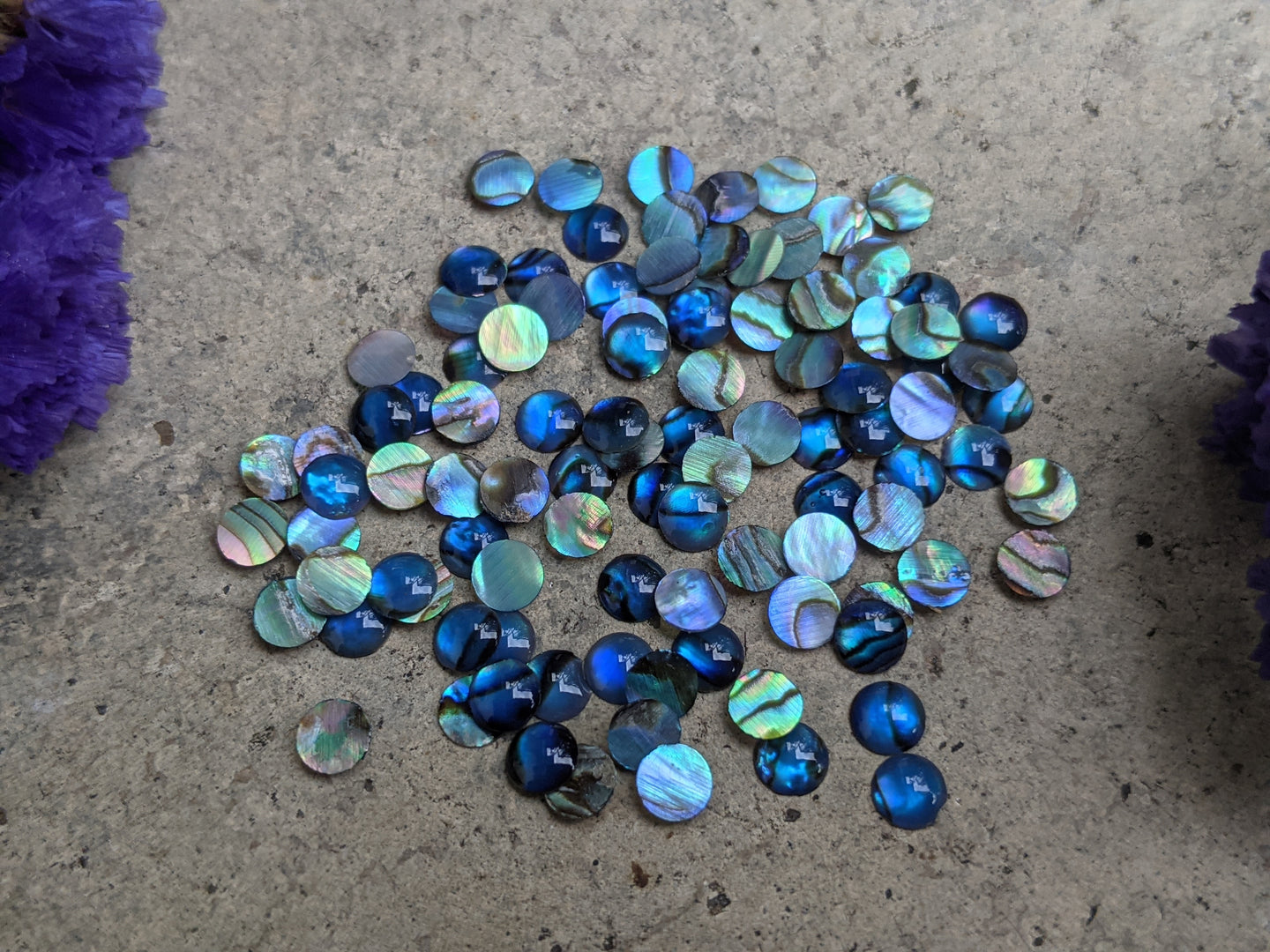 Abalone Round Cabochons - 4mm