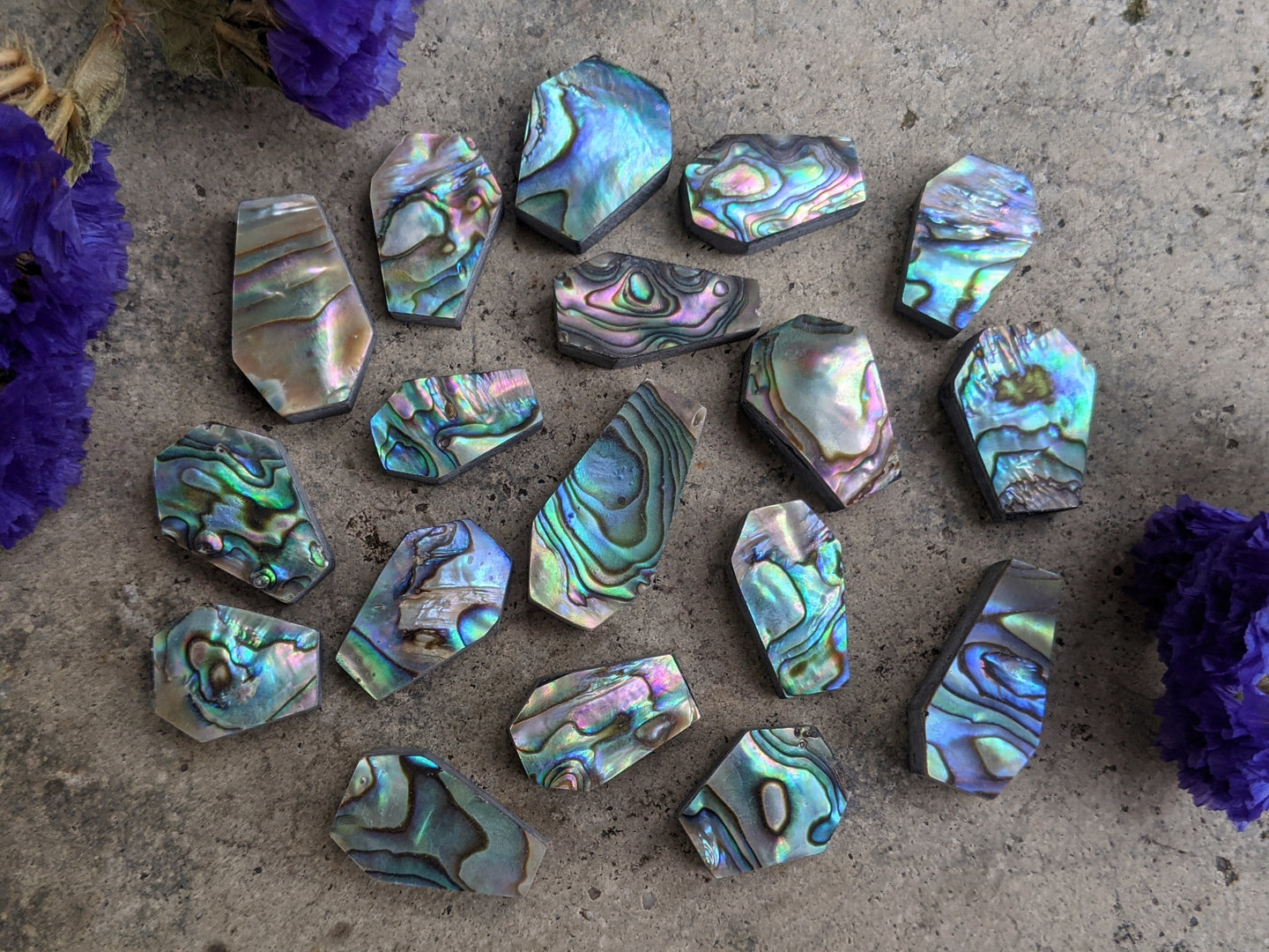 Abalone Coffin Cabochons