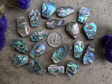 Load image into Gallery viewer, Abalone Coffin Cabochons
