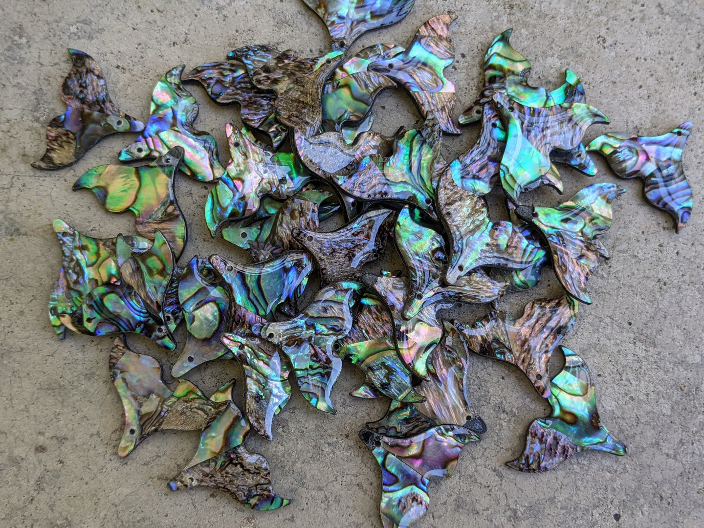 Clearance Abalone Mermaid Tails