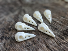 Load image into Gallery viewer, Bone Raven Skulls (Drilled)
