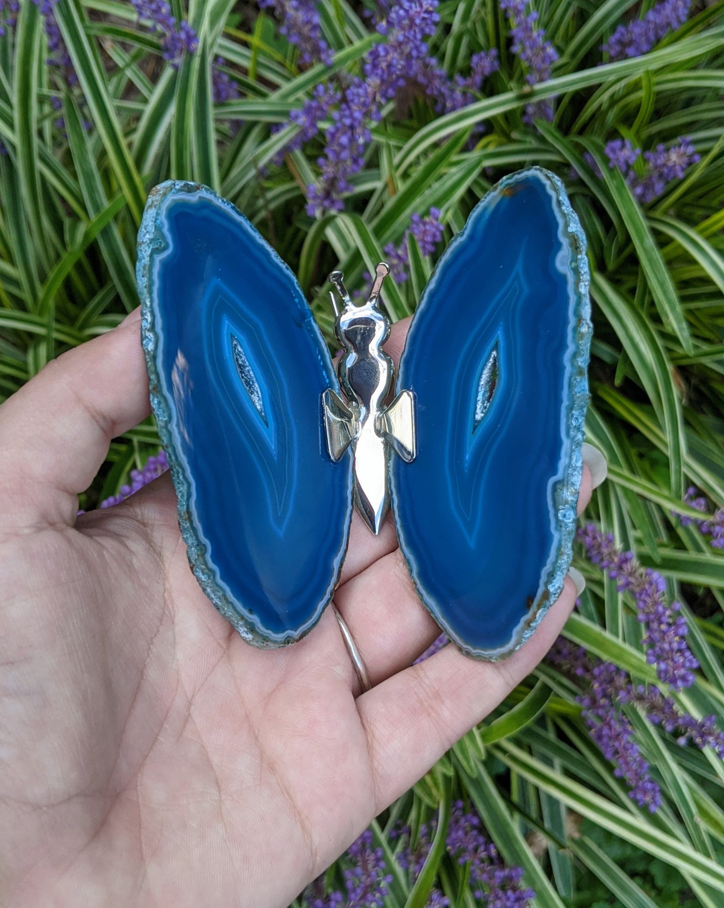 Agate Butterfly Display - Blue