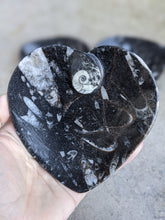 Load image into Gallery viewer, Orthoceras Fossil Heart Bowls
