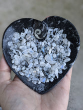 Load image into Gallery viewer, Orthoceras Fossil Heart Bowls
