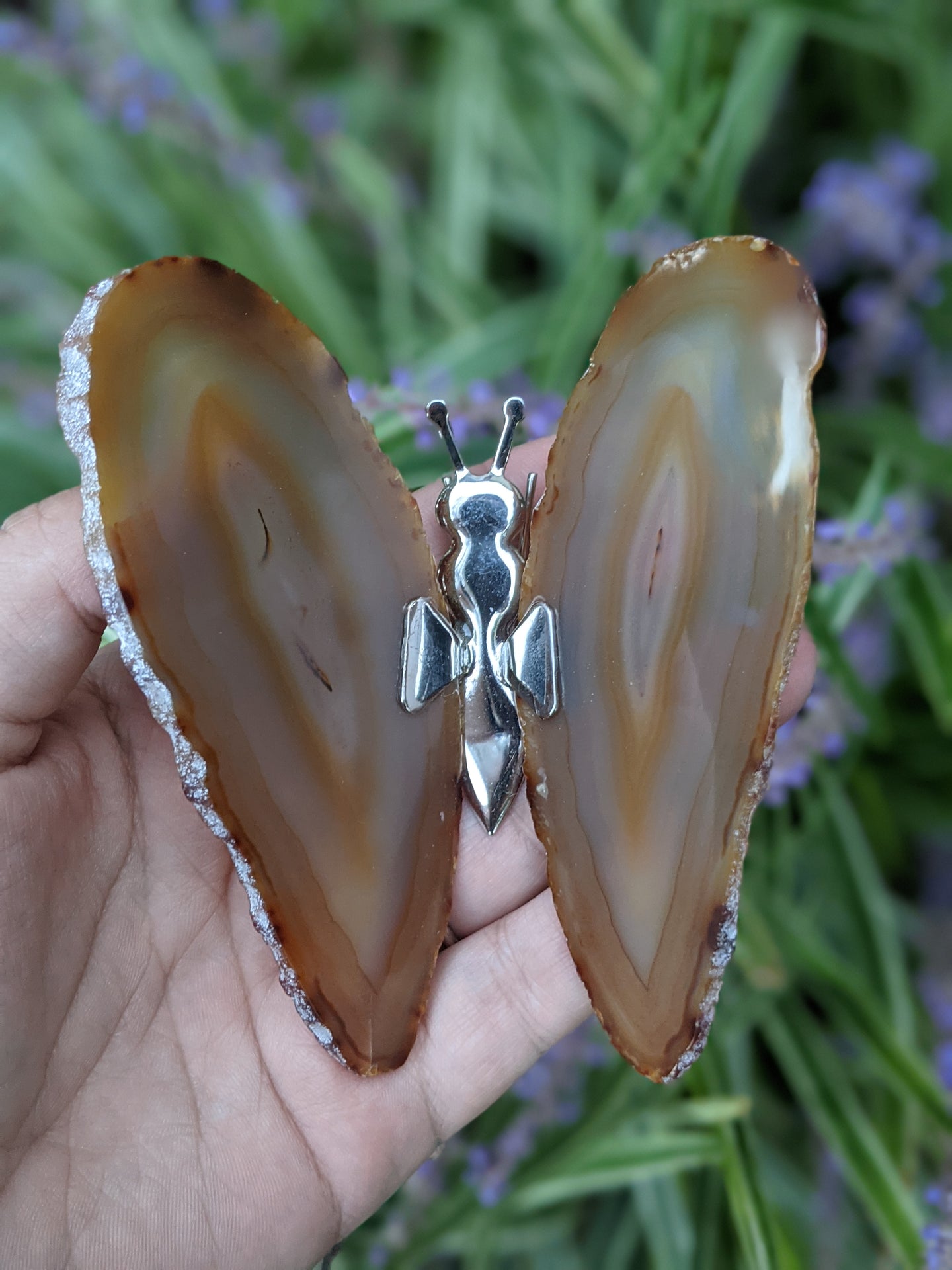 Agate Butterfly Display - Natural