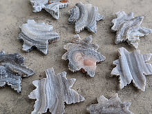 Load image into Gallery viewer, Chalcedony Rosette Leaves
