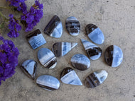 Blue Owyhee Opal Cabochons
