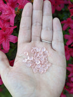 Chalcedony (Pink) Cushion Rose Cuts - 6mm