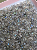 Labradorite Tiny Freeform Cabochons - Lot of 100