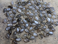 Grey Moonstone Teardrop Cabochons - 5x8mm