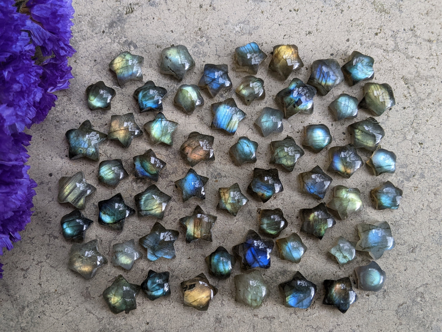 Labradorite Star Cabochons - Mini