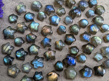 Load image into Gallery viewer, Labradorite Star Cabochons - Mini
