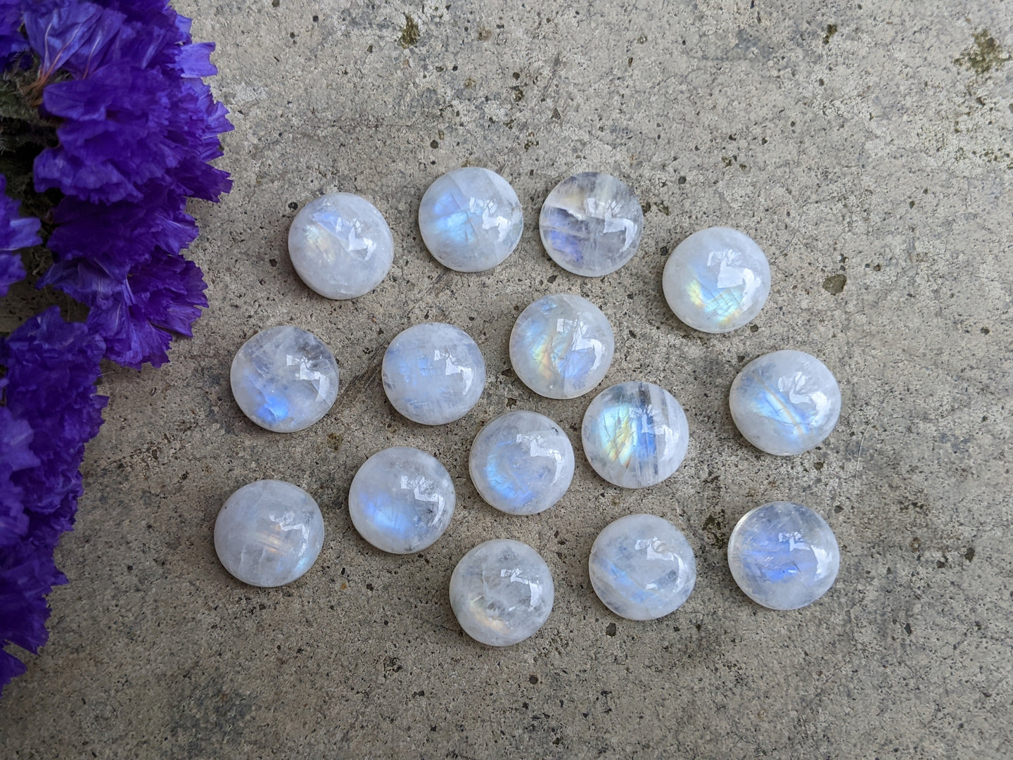 Moonstone Round Cabochons - 12mm