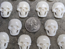 Load image into Gallery viewer, Bone Skull Cabochons - Large
