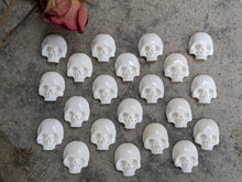 Load image into Gallery viewer, Bone Skull Cabochons (Drilled)

