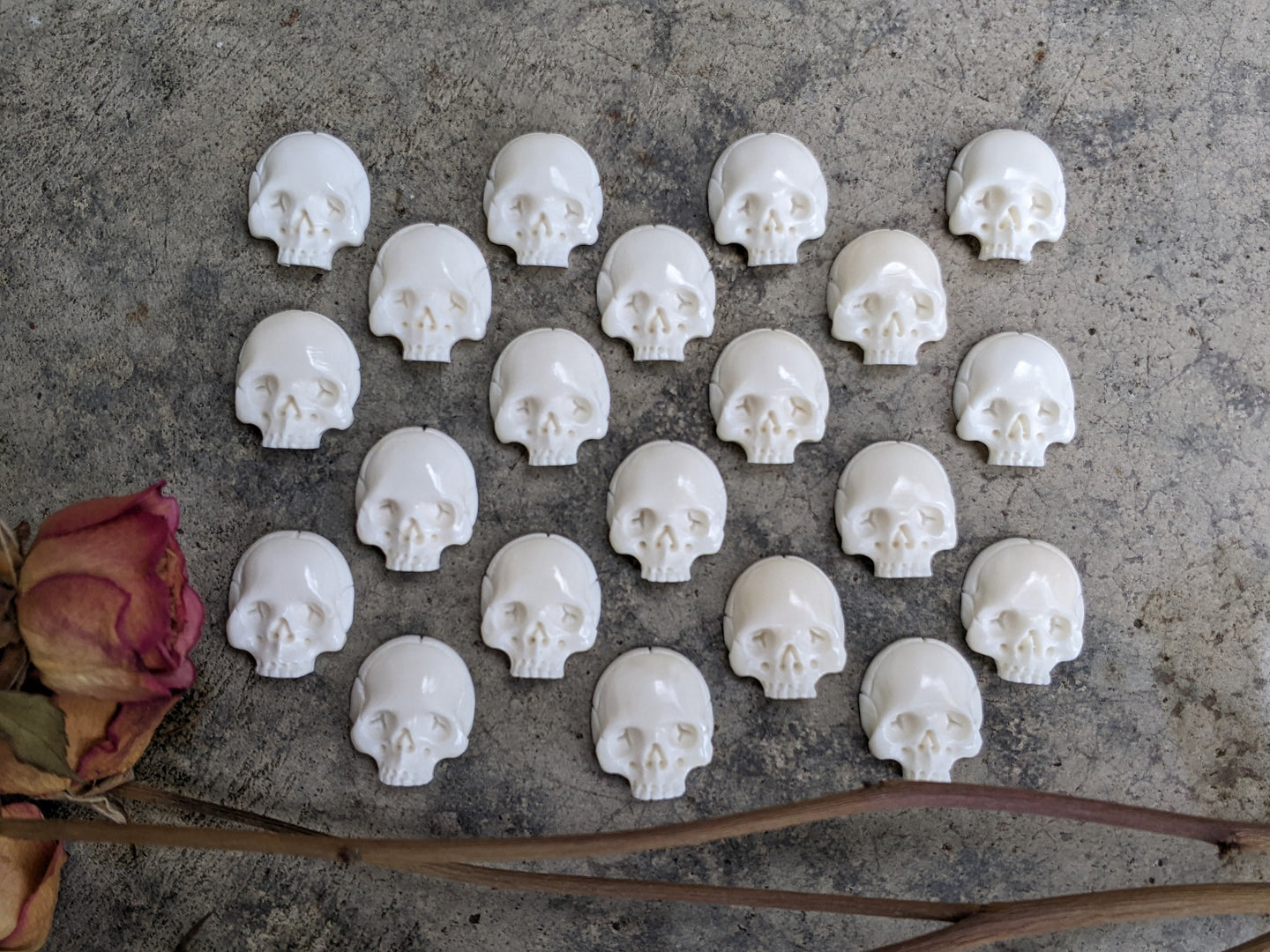 Bone Skull Cabochons (Drilled)