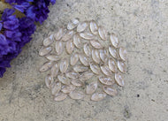 Rose Quartz Marquise Cabochons - 5x10mm
