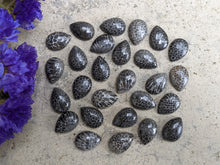 Load image into Gallery viewer, Black Fossil Coral Teardrop Cabochons - 10x14mm
