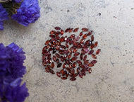 Garnet Marquise Facets - 2x4mm