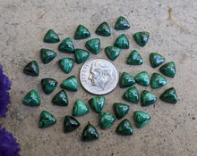 Load image into Gallery viewer, Malachite Trillion Cabochons - 6mm
